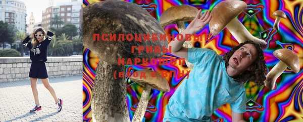 мяу мяу мука Абдулино