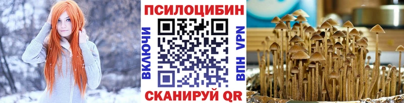 купить наркотики цена Калининград Галлюциногенные грибы Psilocybine cubensis